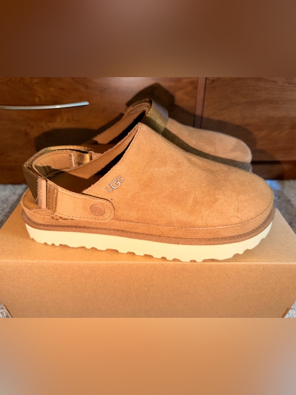 UGG Women’s Suede Clog Mules Goldenstar — Chestnut